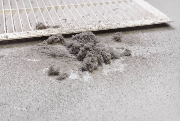 Best Air Duct Cleaning Near Me  in Eclectic, AL