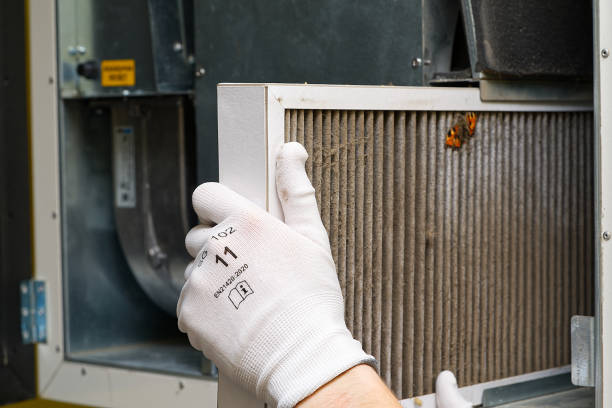Best HVAC System Cleaning  in Eclectic, AL