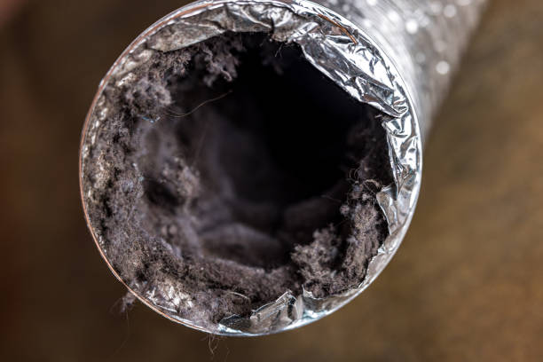 Best Affordable HVAC Duct Cleaning  in Eclectic, AL