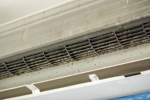 Best HVAC System Cleaning  in Eclectic, AL
