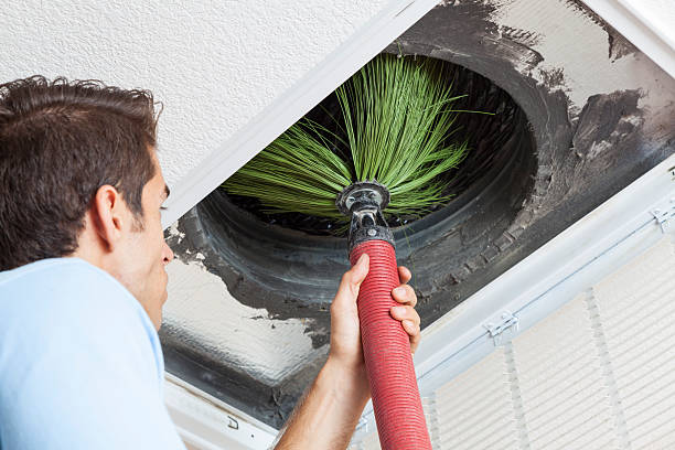 Best Local Air Duct Cleaning Services  in Eclectic, AL