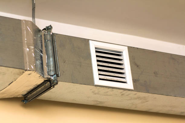 Best HVAC Duct Inspection Services  in Eclectic, AL